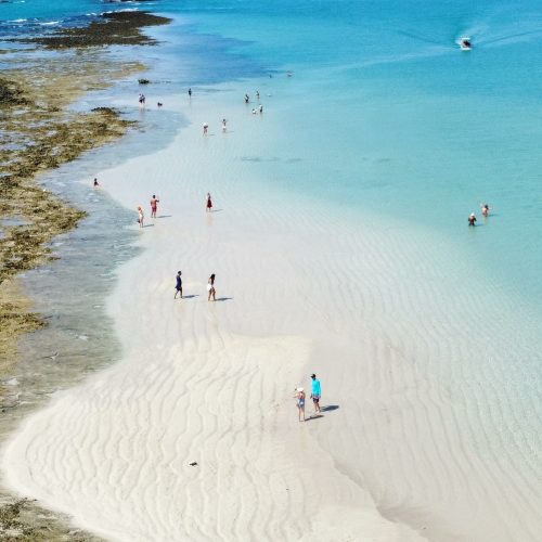 thumbnail_dji_fly_20230305_090950_398_1678018257324_photo_optimized