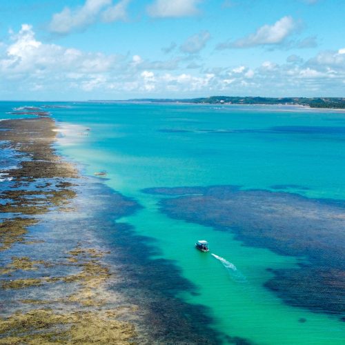 thumbnail_dji_fly_20230604_103112_915_1685886319217_photo_optimized